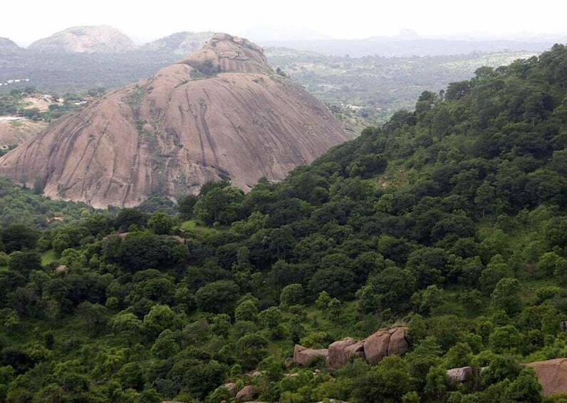 Picture 4 for Activity Day Trip to Nature Trails (Guided Tour from Bangalore)