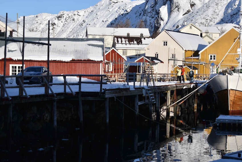 Picture 4 for Activity From Leknes: Private Lofoten Islands Tour with Transfer