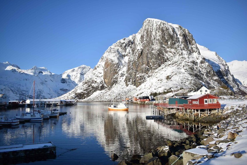 Picture 1 for Activity From Leknes: Private Lofoten Islands Tour with Transfer