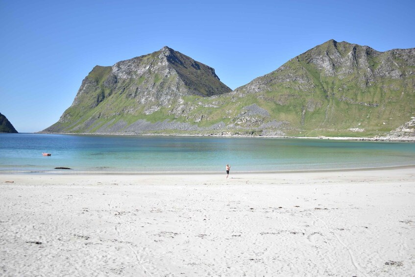 Picture 10 for Activity From Leknes: Private Lofoten Islands Tour with Transfer