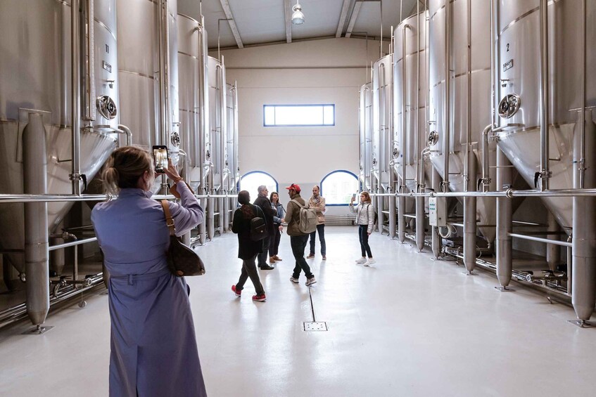 XXI Century Olive Oil Mill Tour