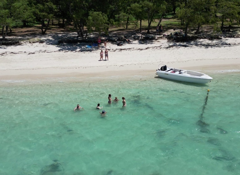 Picture 12 for Activity LA PRENEUSE - Snorkel with Dolphins