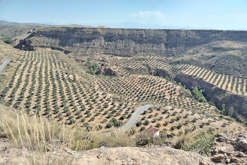 Picture 13 for Activity Granada: End of the World Viewpoints 4x4 Tour in the Geopark