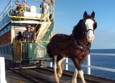 From Adelaide: Victor Harbor & Hahndorf Day Tour