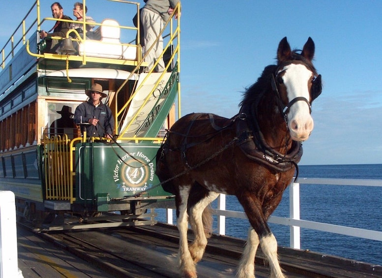 Picture 14 for Activity Hills to the Seaside: Full-Day Hahndorf & Victor Harbor Tour