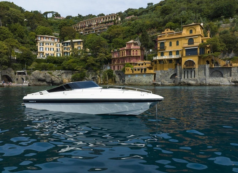 Picture 14 for Activity Private Boat tour in Portofino Coast and 5 Terre
