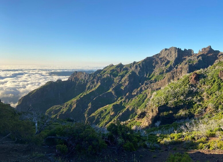 Picture 4 for Activity Machico Transfer: Caldeirão Verde or Pico Ruivo-Areeiro Hike