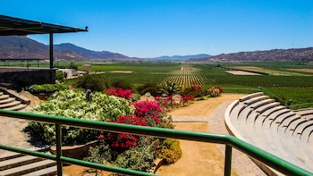 Wine Tasting Pass in Guadalupe