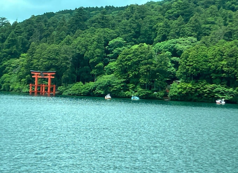 Picture 10 for Activity Hakone Day tour to view Mt Fuji after feeling wooden culture