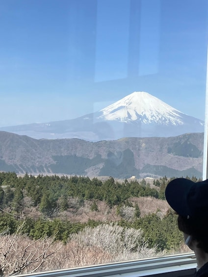 Picture 4 for Activity Hakone Day tour to view Mt Fuji after feeling wooden culture