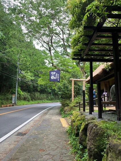 Picture 11 for Activity Hakone Day tour to view Mt Fuji after feeling wooden culture