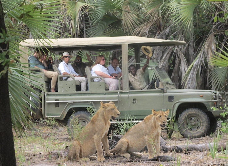 Picture 4 for Activity 2 Days, 1 Night Selous Game Reserve/ Nyerere National Park