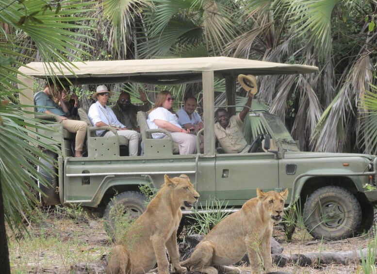 Picture 4 for Activity 2 Days, 1 Night Selous Game Reserve/ Nyerere National Park