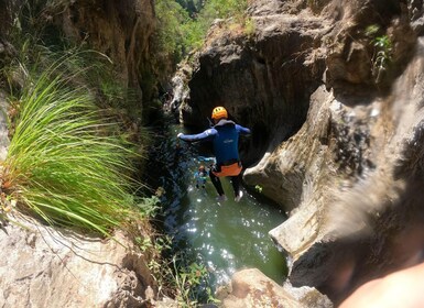 From Estepona: Guadalmina River Guided Canyoning Adventure