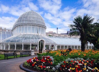 Belfast Private Walking Tour