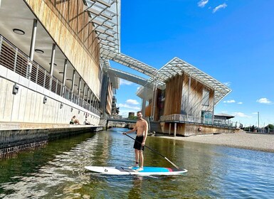 Oslo: Stand Up Paddle Board Rental