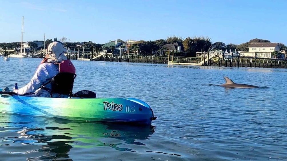 St. Augustine: Deluxe Dolphin-Watching Kayak Tour