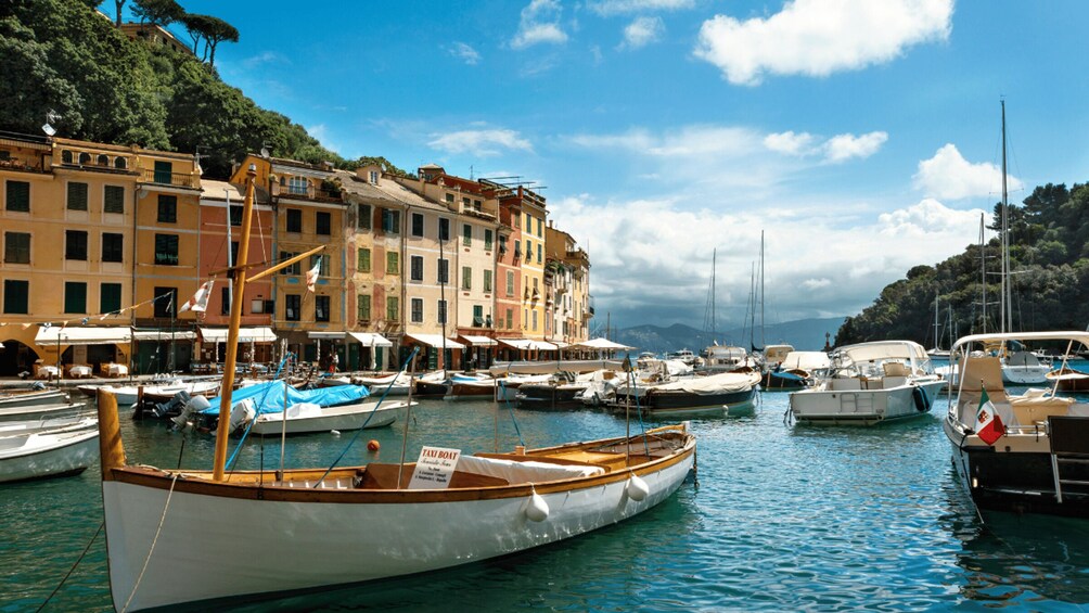 Picture 3 for Activity Private Tour to Portofino and Santa Margherita from Genoa