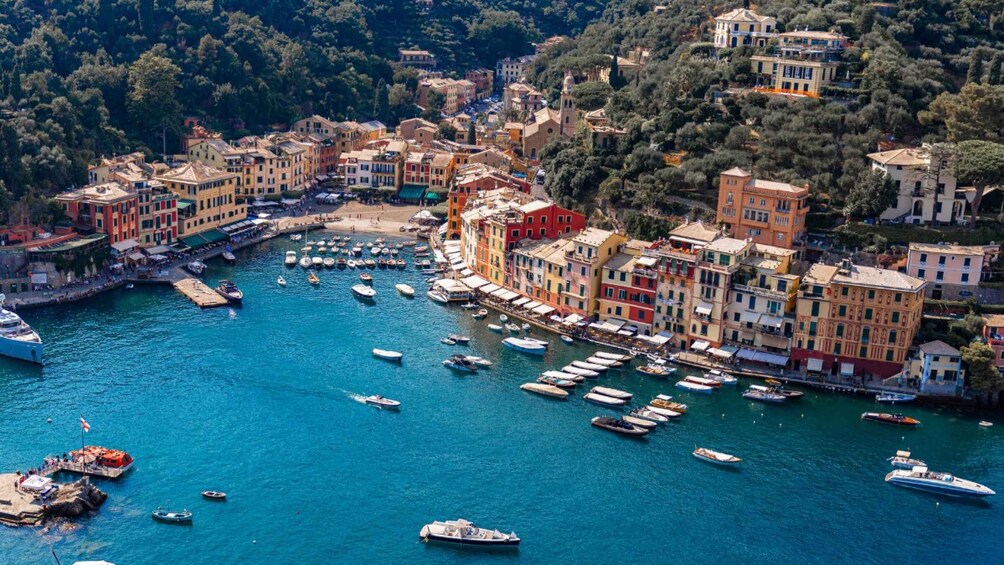 Picture 9 for Activity Private Tour to Portofino and Santa Margherita from Genoa