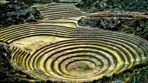 Súper Valle Sagrado: Pisac, Minas de Sal, Moray, Ollantaytambo