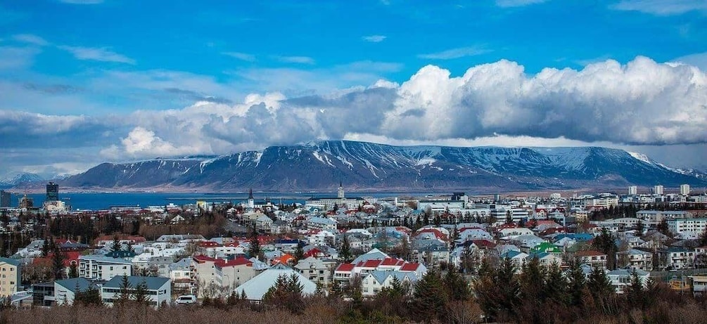 Reykjavik Private Walking Tour