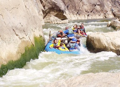 Moab Full-Day White Water Rafting Tour in Westwater Canyon