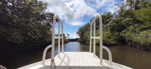 Preguicas River Speedboat Tour