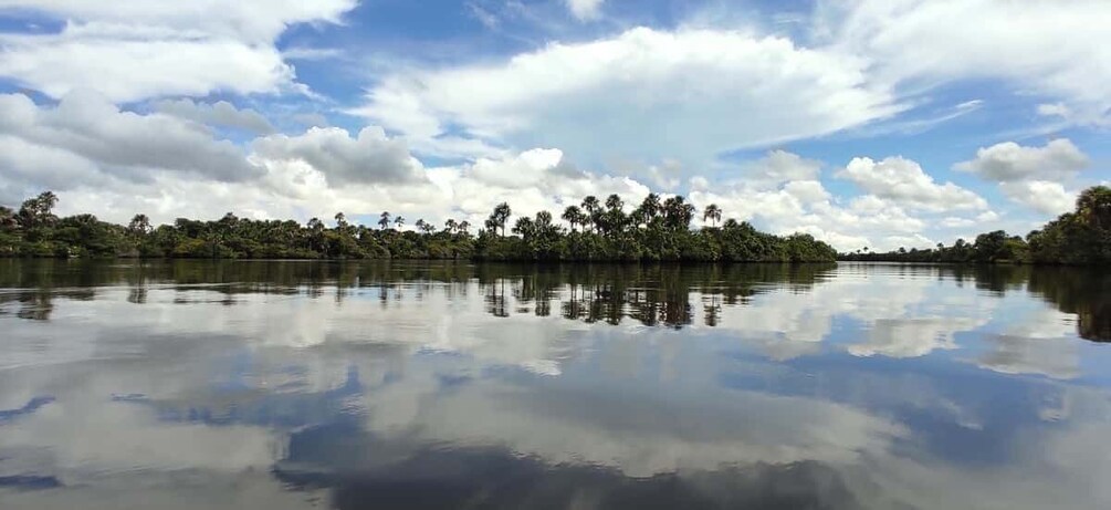 Picture 7 for Activity Preguicas River Speedboat Tour