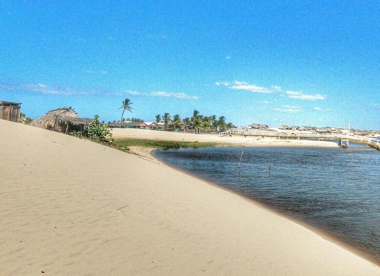 Preguicas River Speedboat Tour