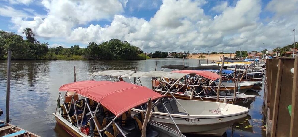 Picture 6 for Activity Preguicas River Speedboat Tour