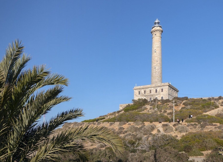 Visit the Palos Faro