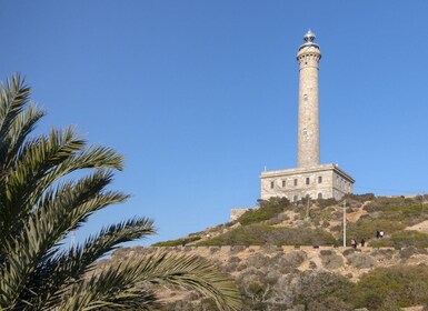 Visit the Palos Faro