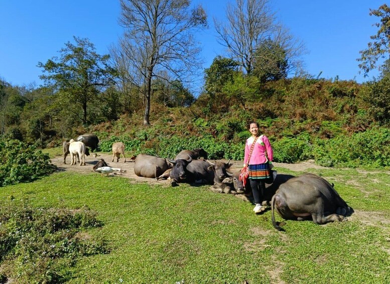 Picture 1 for Activity SAPA TREKKING & HOMESTAY: 3D2N