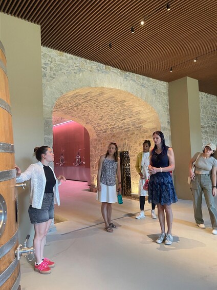 Picture 6 for Activity Montpellier : Wine Tour Pic St Loup