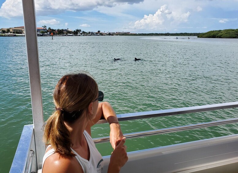 Picture 6 for Activity Madeira Beach: Guided Dolphin Watching Eco-Friendly Cruise