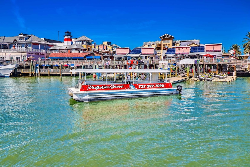 Picture 3 for Activity Madeira Beach: Guided Dolphin Watching Eco-Friendly Cruise