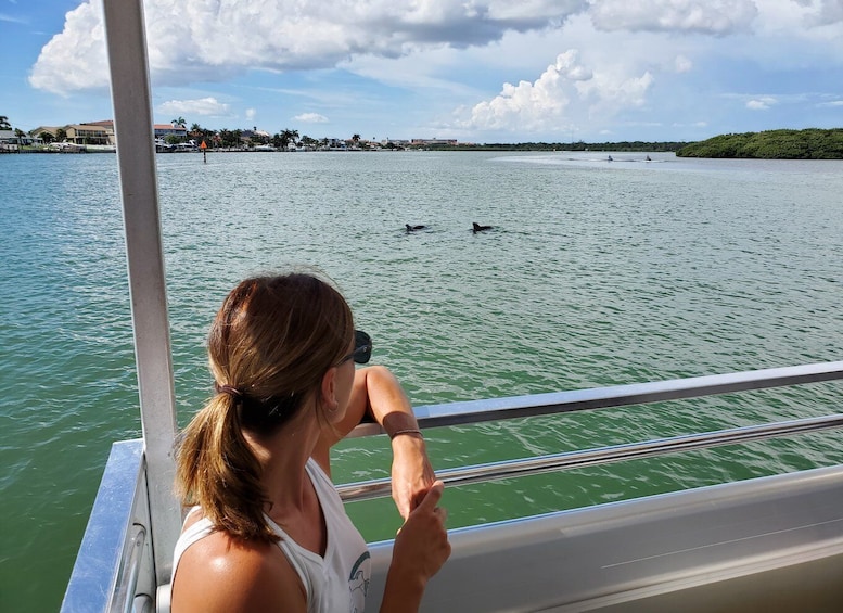 Picture 6 for Activity Madeira Beach: Guided Dolphin Watching Eco-Friendly Cruise