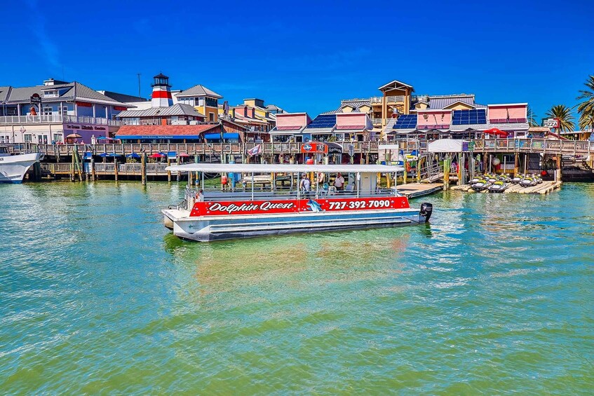 Picture 3 for Activity Madeira Beach: Guided Dolphin Watching Eco-Friendly Cruise