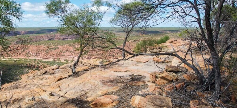 Picture 2 for Activity Kalbarri National Park Driving Tour with an APP