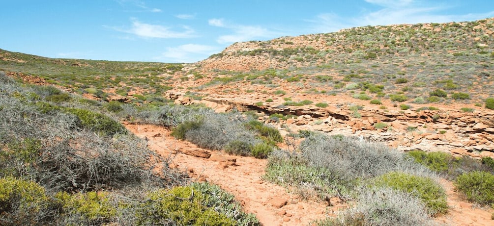 Picture 11 for Activity Kalbarri National Park Driving Tour with an APP