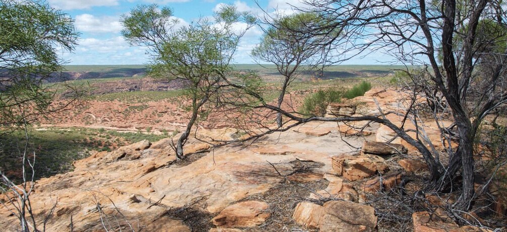 Picture 2 for Activity Kalbarri National Park Driving Tour with an APP