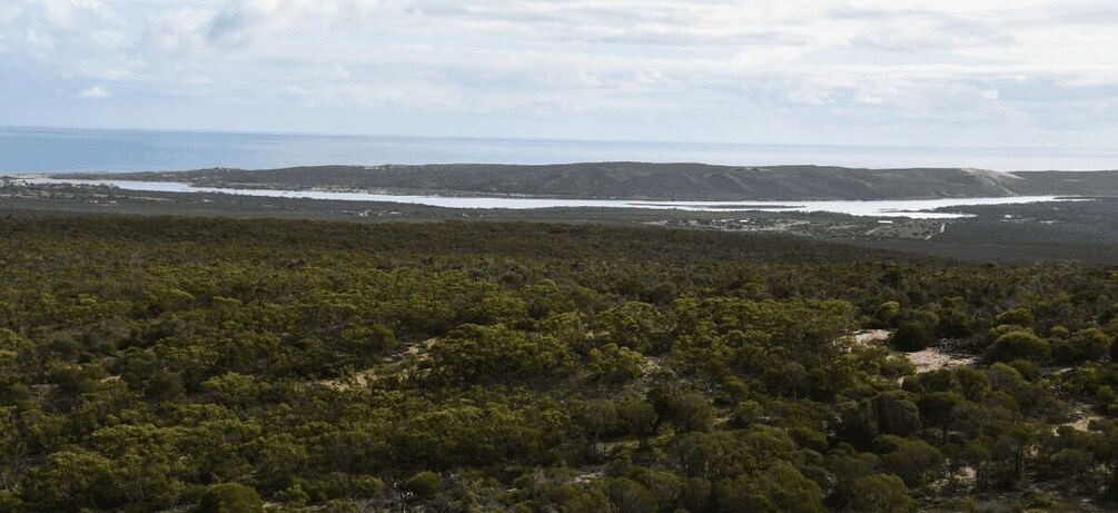 Picture 6 for Activity Kalbarri National Park Driving Tour with an APP