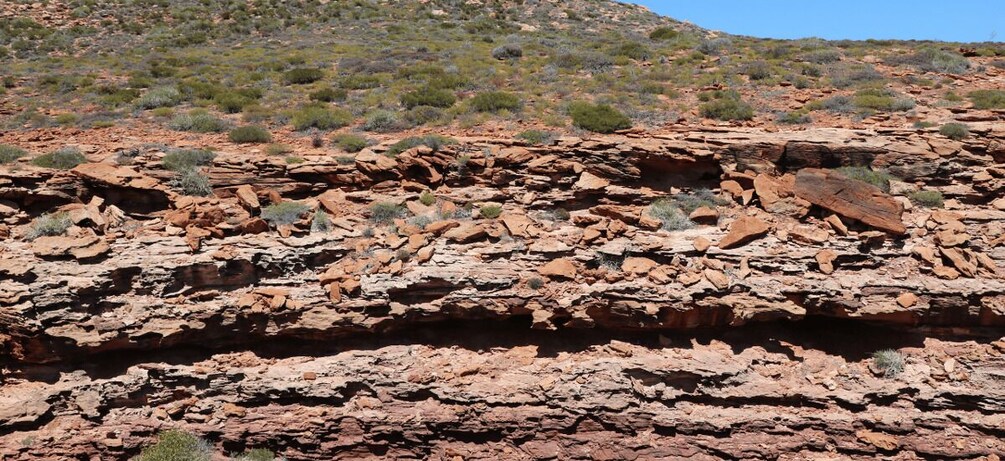 Picture 13 for Activity Kalbarri National Park Driving Tour with an APP
