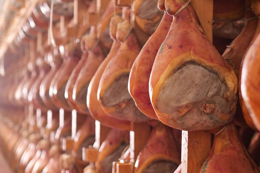 Picture 4 for Activity From Bologna: Parma Cheese & Ham Factory Tours and Tastings