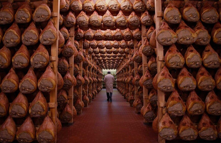 Picture 2 for Activity From Bologna: Parma Cheese & Ham Factory Tours and Tastings