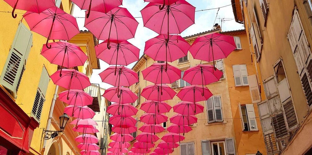 Picture 4 for Activity From Cannes: Beautiful hilltop villages on French Riviera