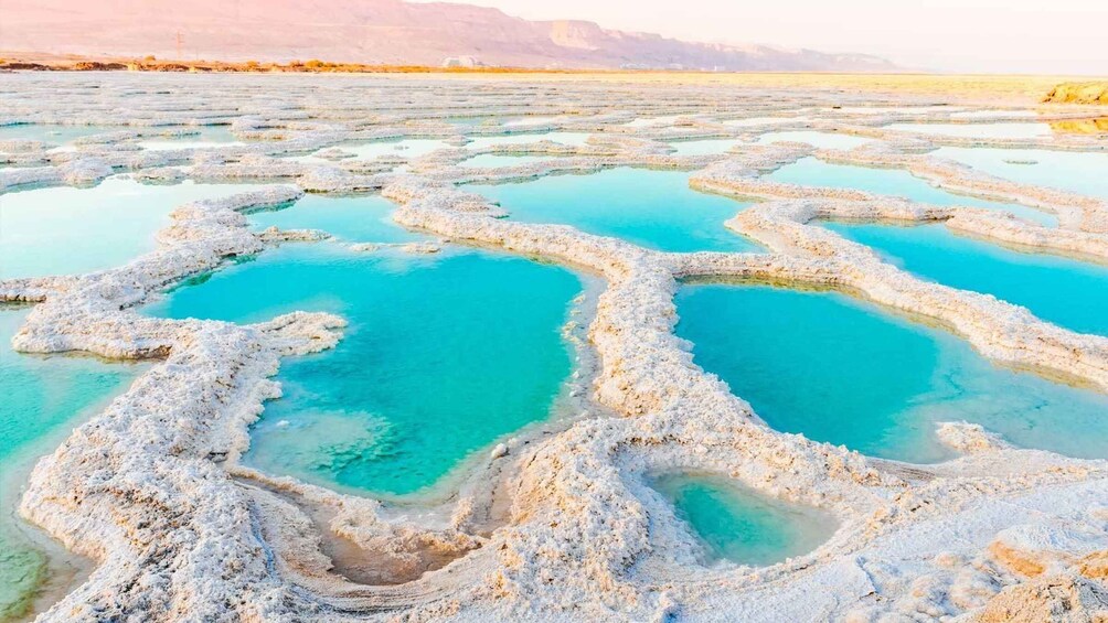 Picture 4 for Activity Explore the Dead Sea on a Half-Day Tour From Amman