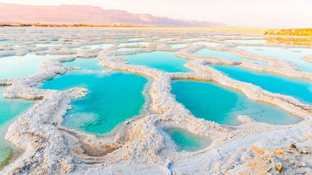 Picture 4 for Activity Explore the Dead Sea on a Half-Day Tour From Amman