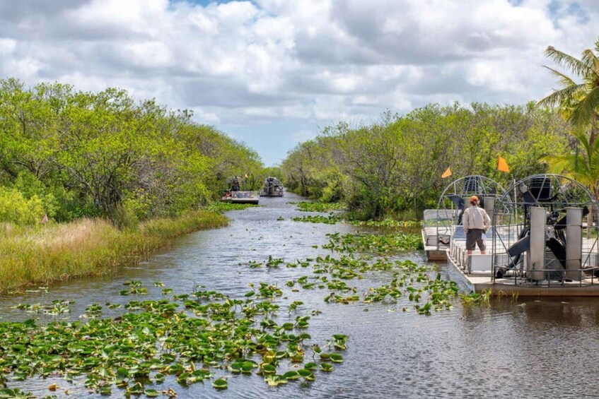 Picture 1 for Activity Everglades Airboat Tours and Rides