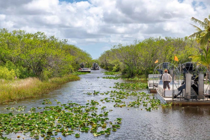 Picture 1 for Activity Everglades Airboat Tours and Rides